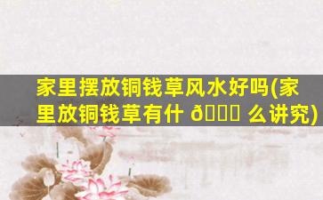家里摆放铜钱草风水好吗(家里放铜钱草有什 🐈 么讲究)